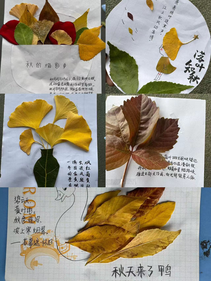 图片94.png